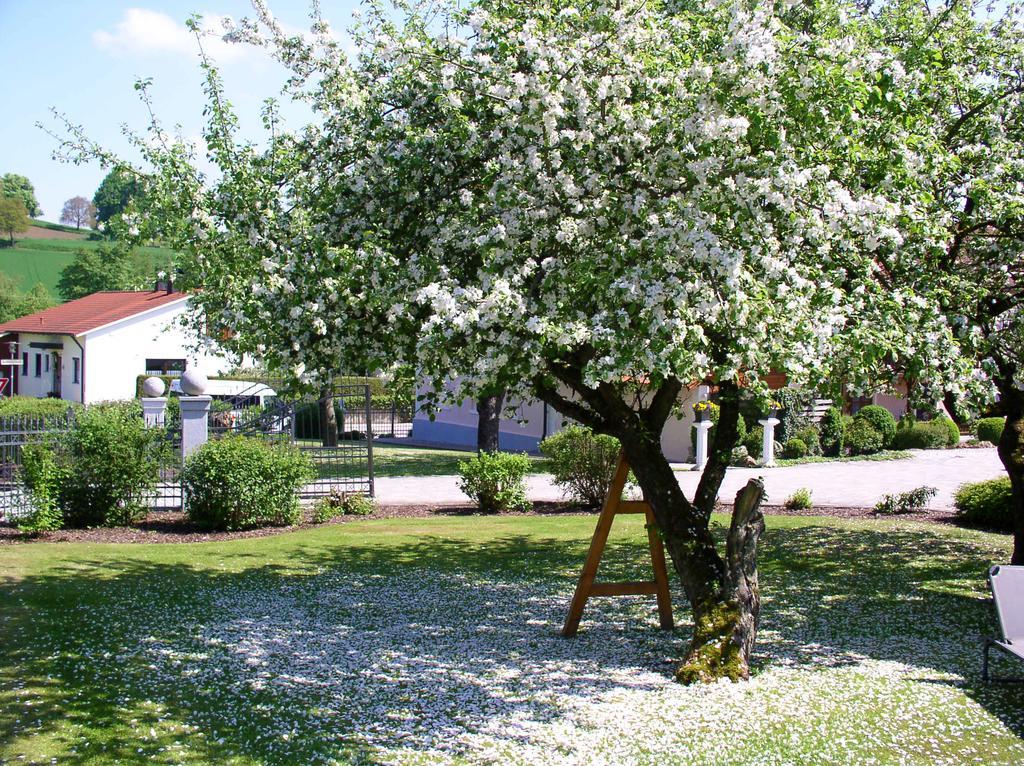 Ferienwohnungen Bloier Бад-Бірнбах Екстер'єр фото